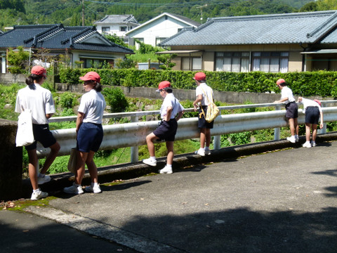 P1350682