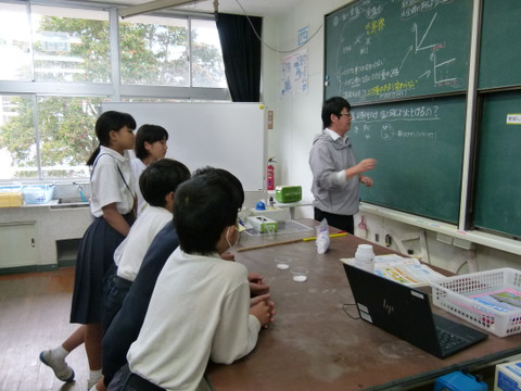 P1360675_2 P1360675_2