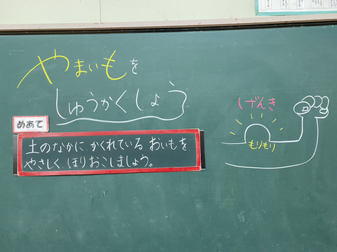 1764208118641 1764208118641