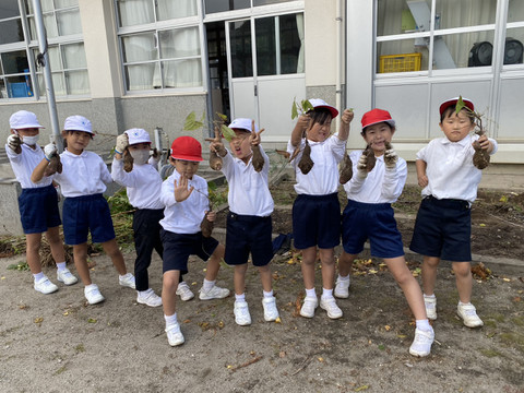 1764208118863 1764208118863