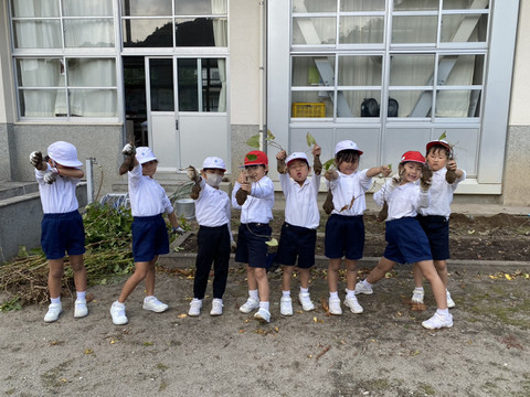 1764208118972 1764208118972