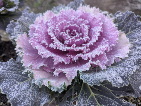 Pxl_20260108_233317715 Pxl_20260108_233317715