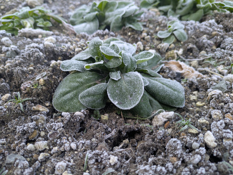 Pxl_20260108_233331944 Pxl_20260108_233331944