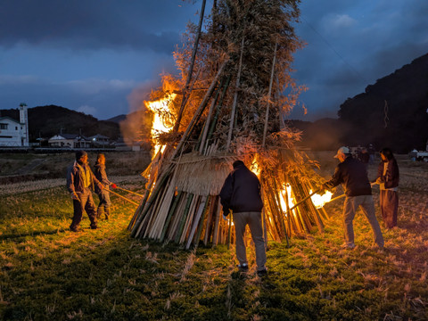 Pxl_20260124_090621993 Pxl_20260124_090621993