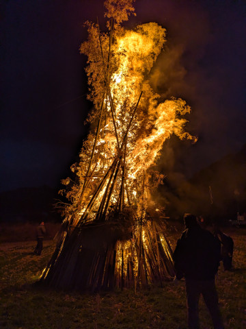 Pxl_20260124_090631971 Pxl_20260124_090631971