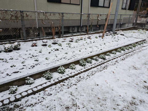 Pxl_20260208_005459327