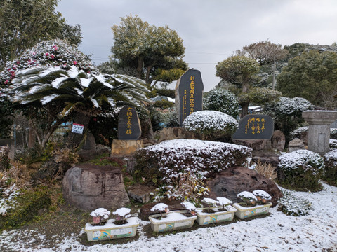 Pxl_20260208_005519456