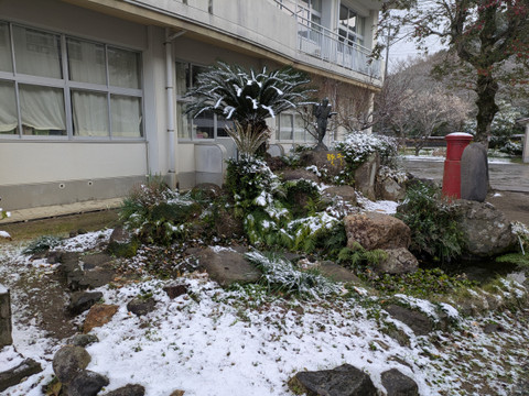 Pxl_20260208_005550658