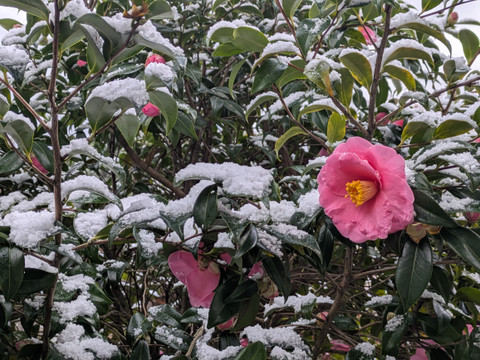 Pxl_20260208_005734517