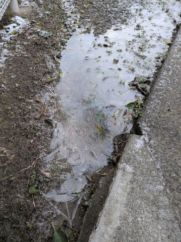 Pxl_20260208_224345726_2