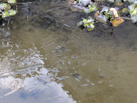 Pxl_20260208_224437623_2