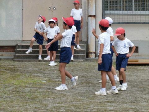 P1390883 P1390883