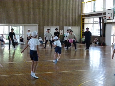 P1400785 P1400785