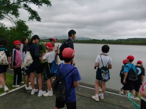 P1400978 P1400978